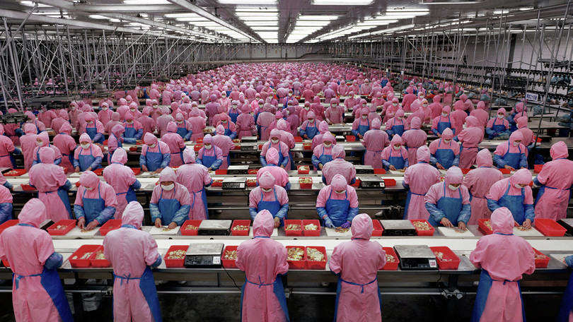 2005年，中国吉林省德惠市的德大鸡肉加工厂