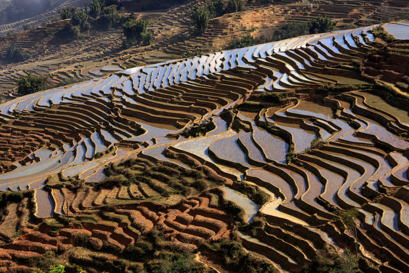 Irrigated Rice Terrace Fields in Yuanyang County, Yunnan Province, China: Adobe Stock